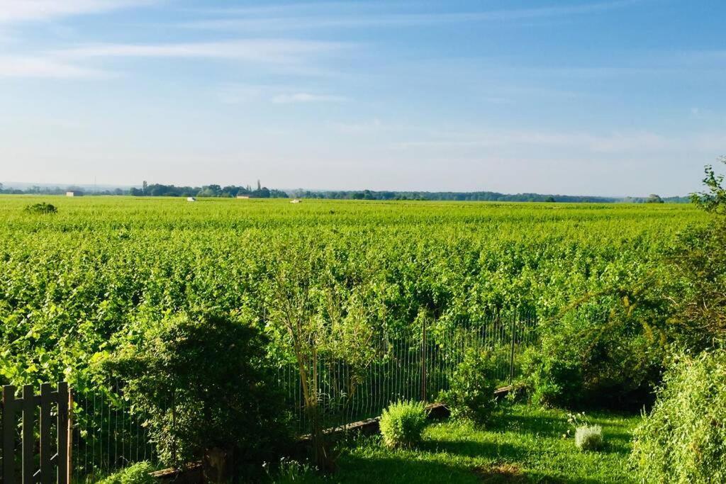 Appartement Avec Vue Sur Les Vignes A Gevrey Exterior foto